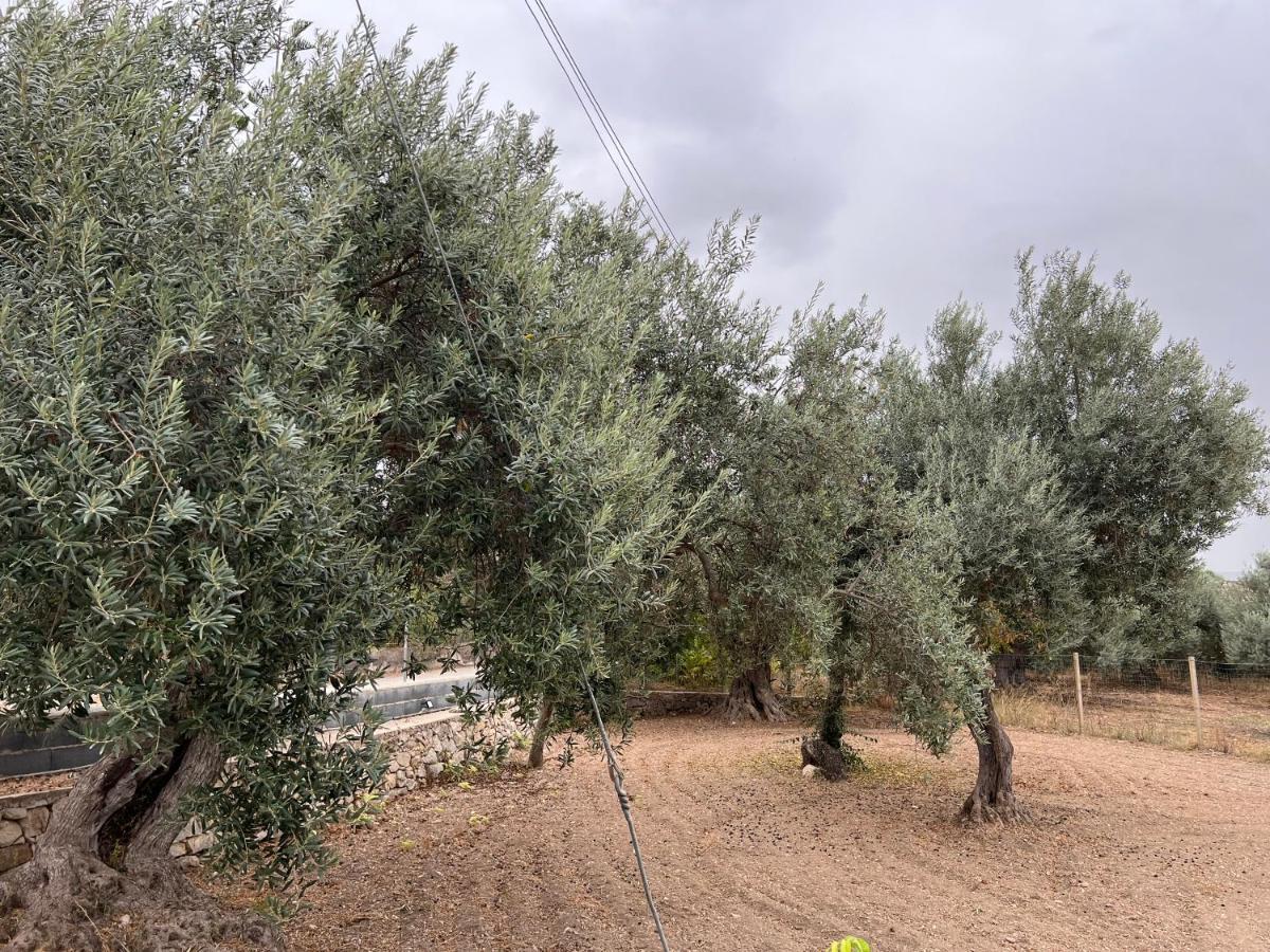 Casa Di Mirto Panzió Chiaramonte Gulfi Kültér fotó